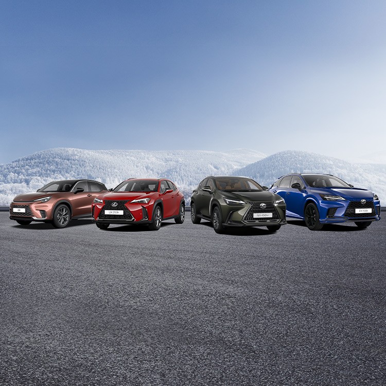 LEXUS WINTER SUV