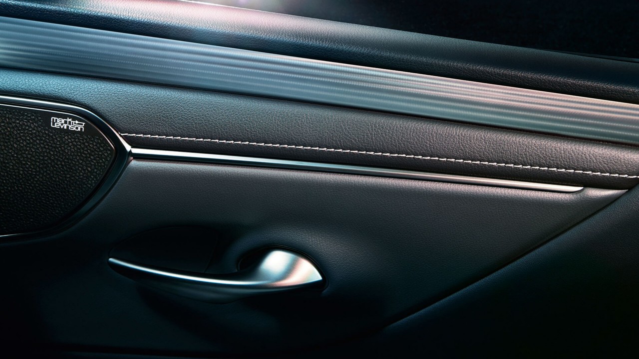 Lexus ES door handle close up 