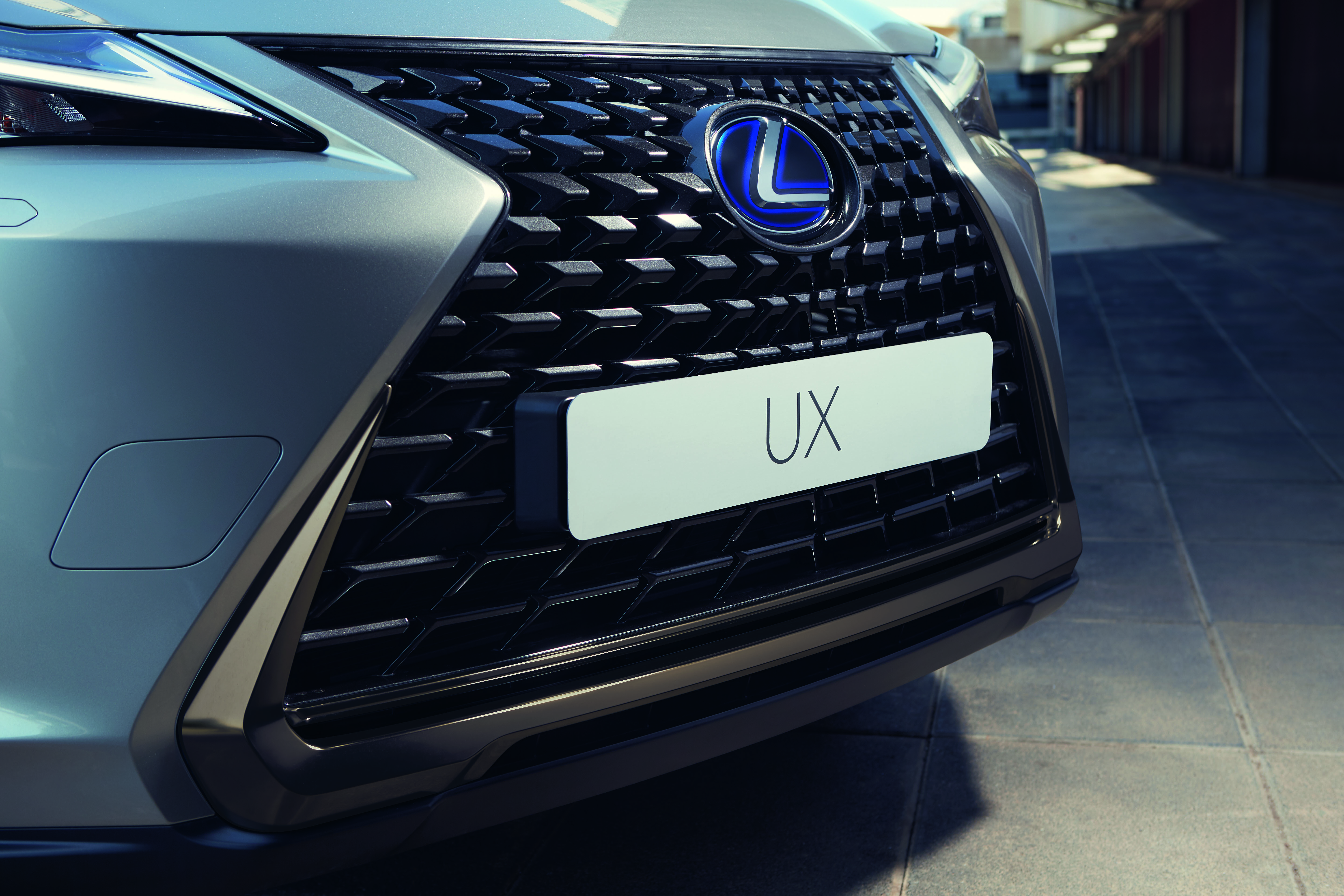 Lexus UX 250h grille and registration plate 