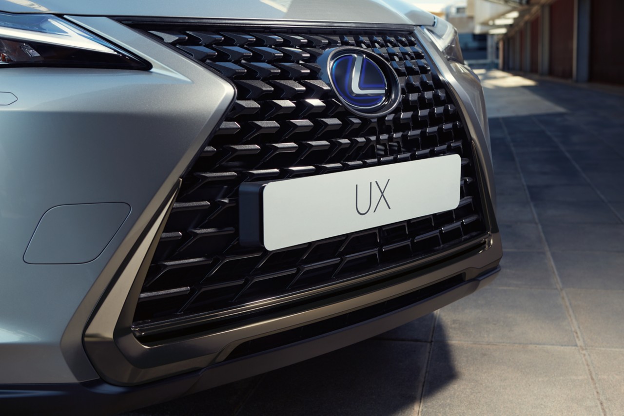 Lexus UX 250h grille and registration plate 